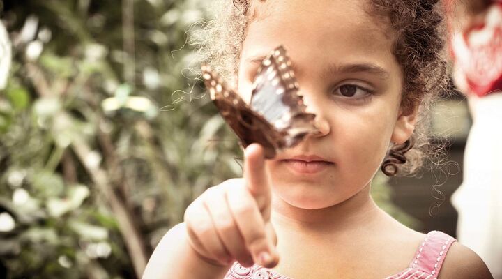 Girl With Butterfly Sitting On Her Finger