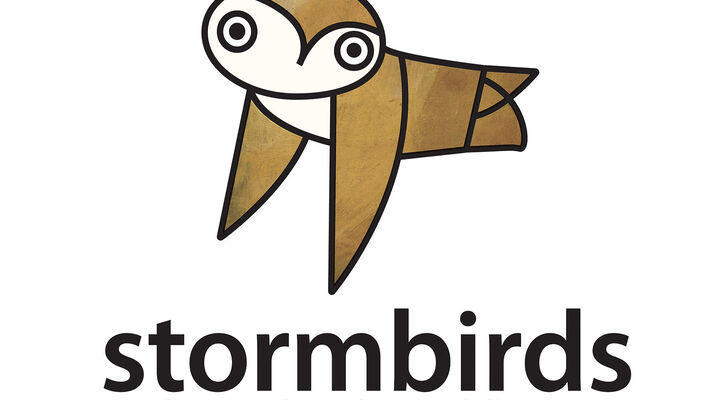 Stormbirds Logo
