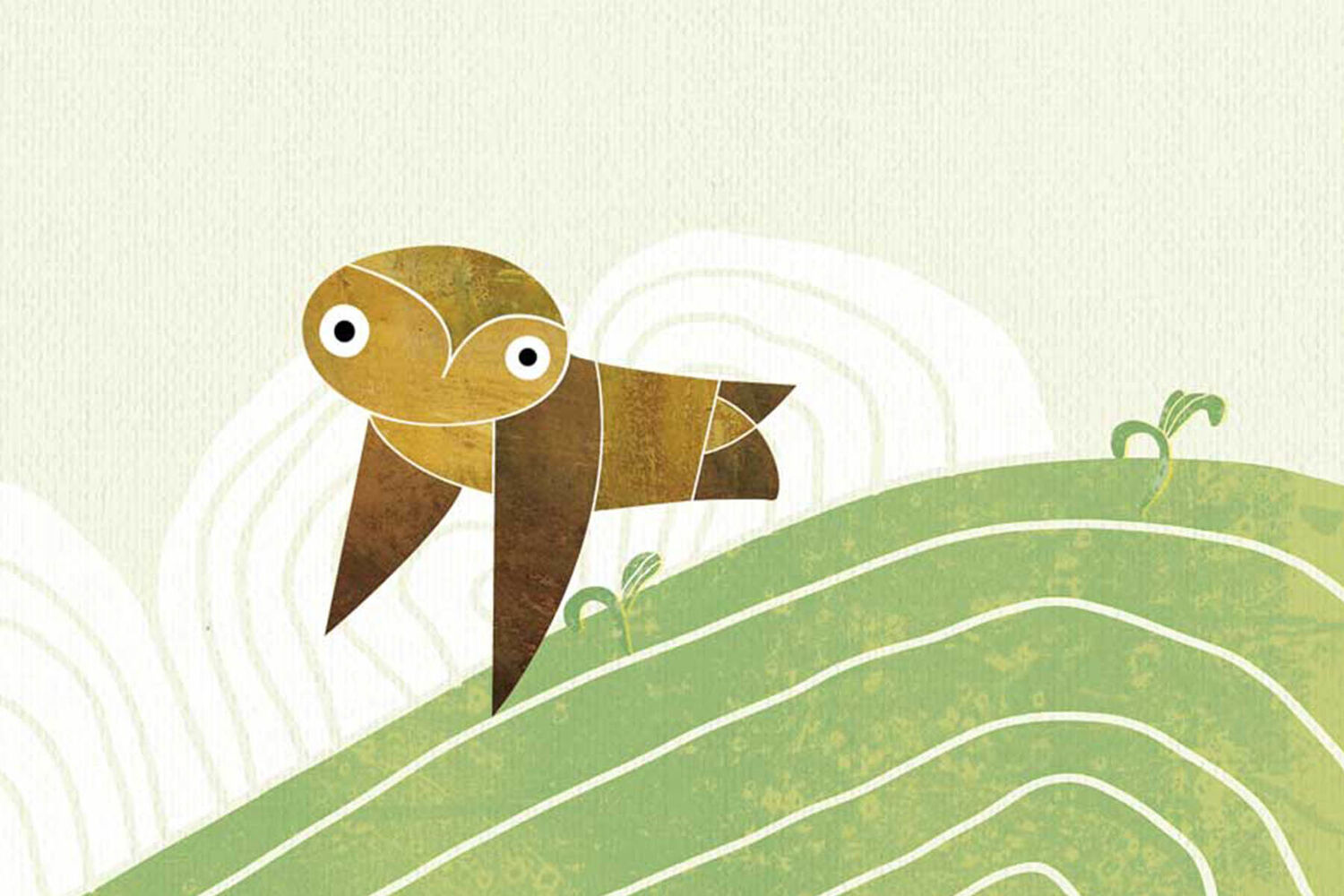 Stormbirds Graphic With Owl Flying