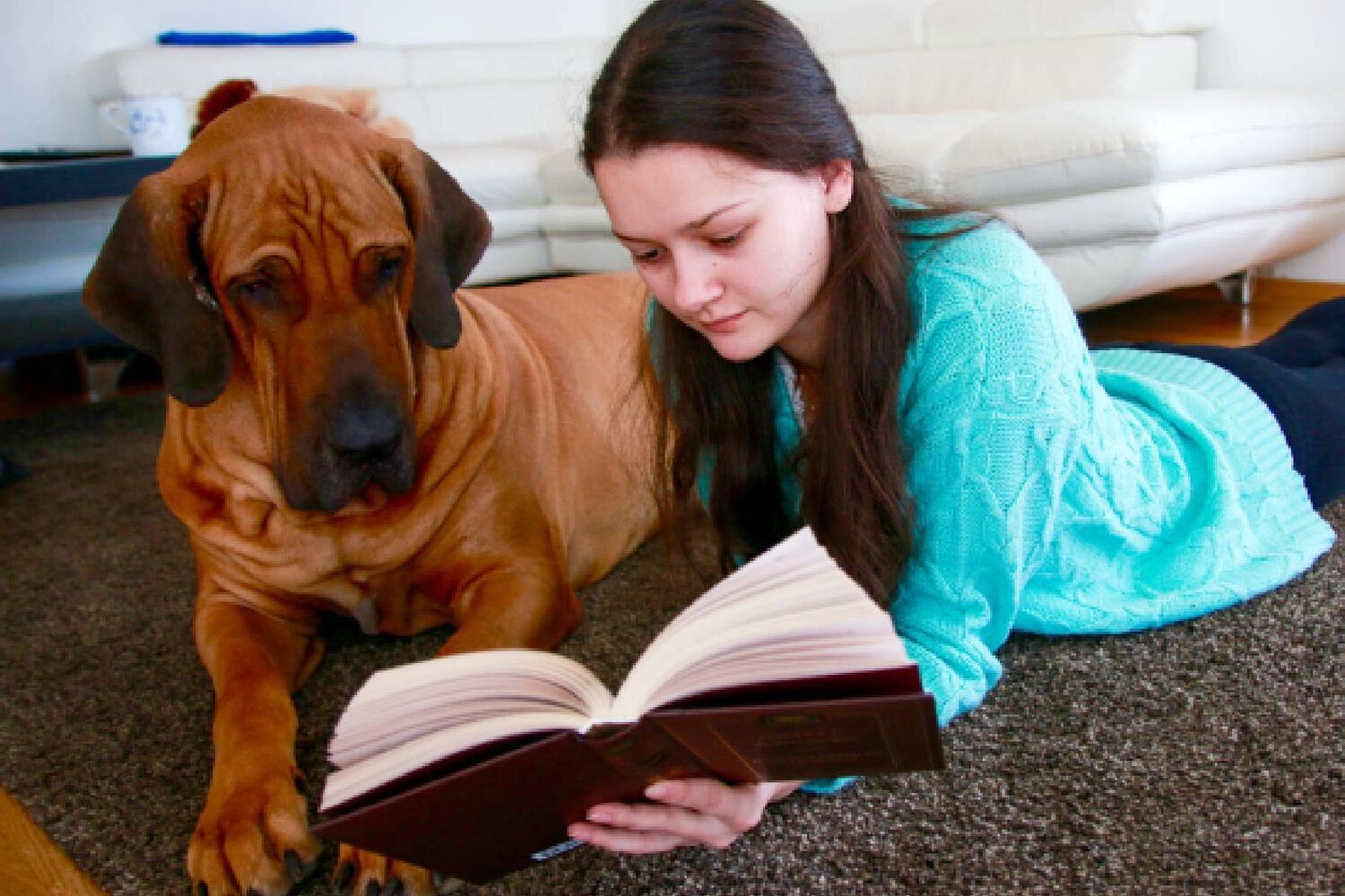 Girl And Dog Reading