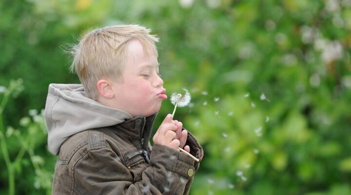 Boy With Down Syndrome Blowing A Dandelion